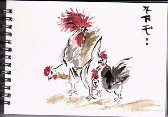 021 coq et coquettes 09
