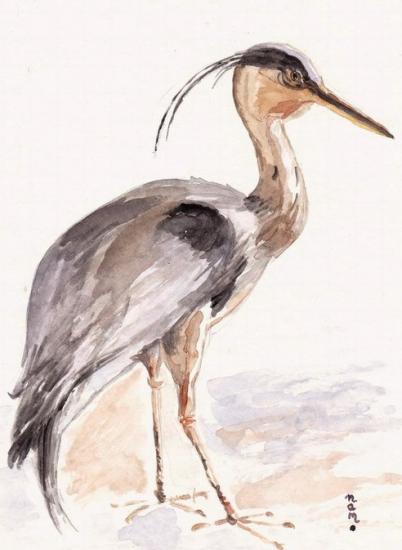 022 heron 09