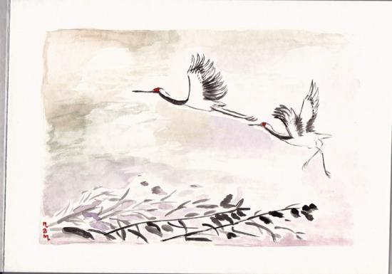 024 grues 09