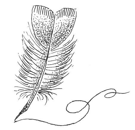 Autre plume 1