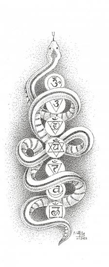 Chakra serpent map n 23
