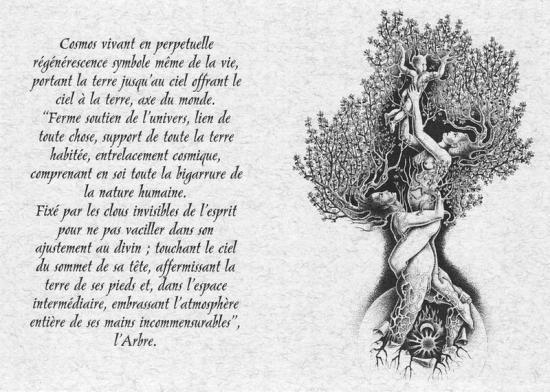 l'Arbre