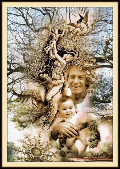 bel arbre d'amour