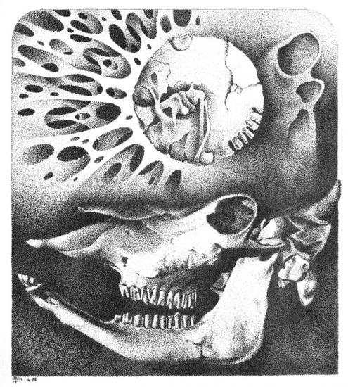 sous le soleil des taureaux morts