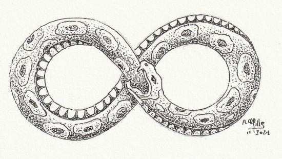 Ouroboros map n 23